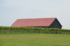 JOP_063019_DB_Barn